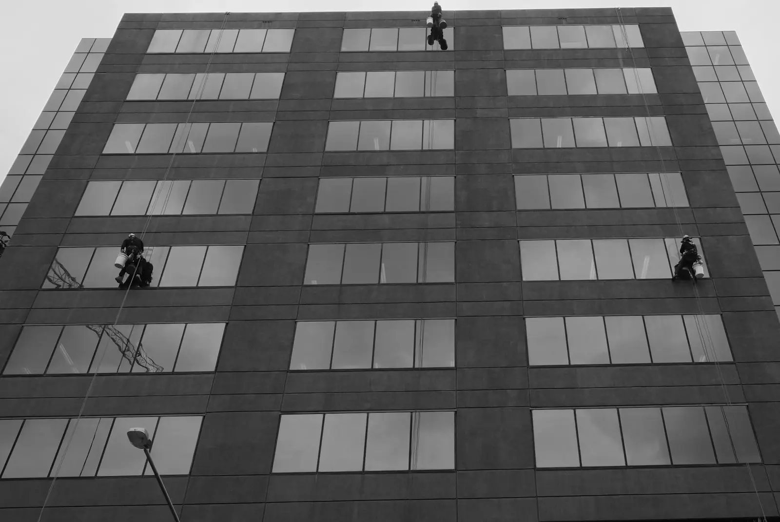 Window cleaners at work